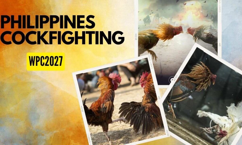 Cockfighting Wpc2027